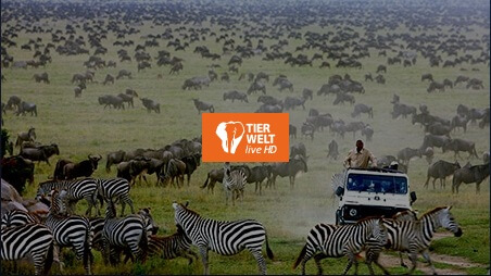 tierwelt iptv
